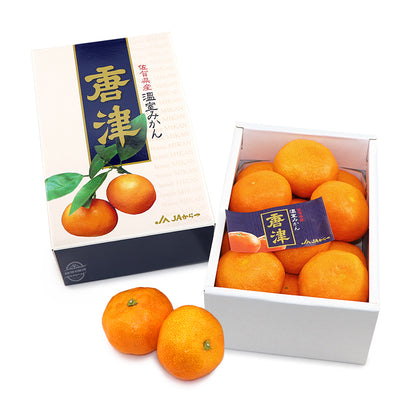 生日果籃23 ｜豪華版｜